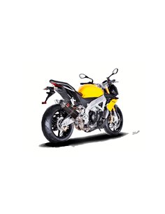 SLIP-ON Line Silenciador Carbono Akrapovic para Aprilia TUONO y RSV4 (2009-2014) 2