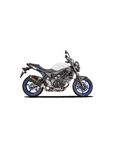 SLIP-ON Line Silenciador Carbono Akrapovic para Suzuki SV 650 (2016-2019) 2