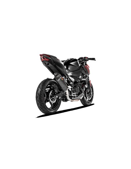 SLIP-ON Line Silenciador Carbono Akrapovic para Kawasaki Z400/Ninja 400 2019 