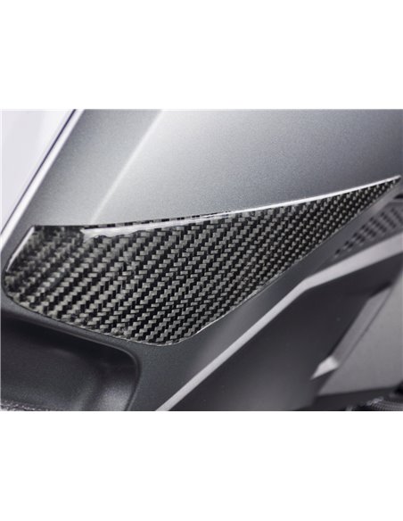 Adhesivo Real Carbono de Depósito para BMW R 1250 GS