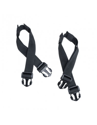 Correas Vivione HELD