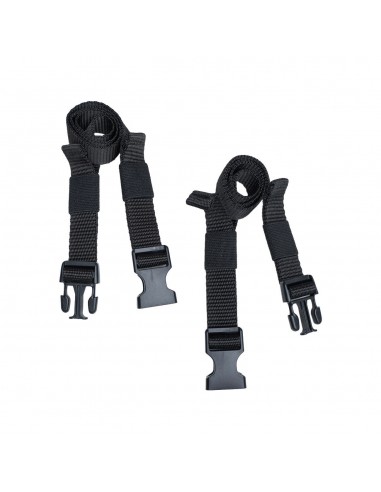 Correas Iconic GT HELD