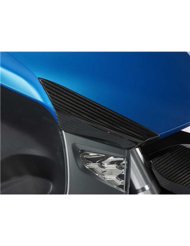 Protección de carenado frontal de carbono para BMW C 600 Sport (-2015)	
