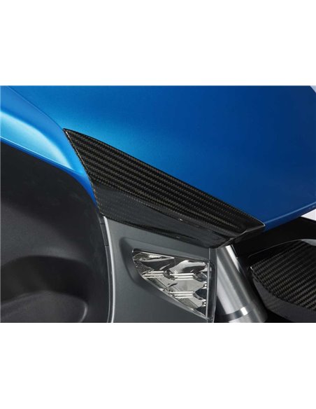 Protección de carenado frontal de carbono para BMW C 600 Sport (-2015)	