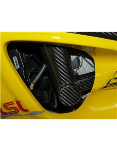 Protector de cuadro de Carbono para HP4 y S1000RR
