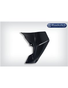 Deflector de viento en Carbono para BMW R1200 GS LC