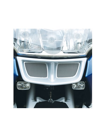 Rejilla protectora Radiador de aceite para BMW R1200RT (-2009)